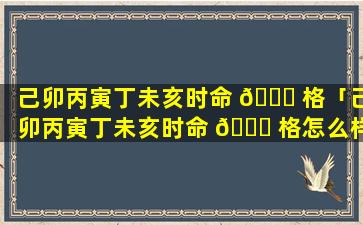 己卯丙寅丁未亥时命 🐕 格「己卯丙寅丁未亥时命 🐎 格怎么样」